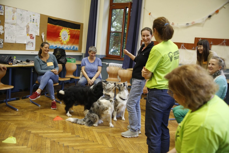 Street Training Budapest 2024